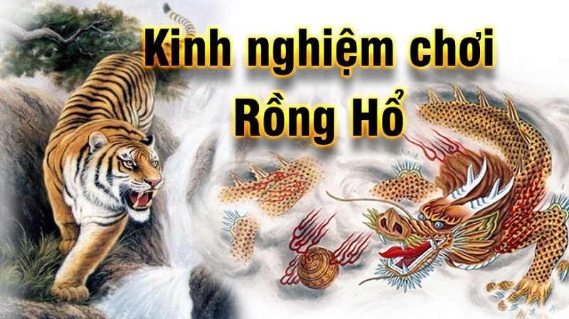 Bí kíp chơi Rồng hồ online mà mọi người cần biết